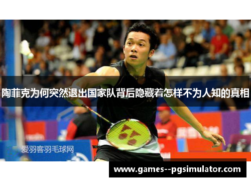 陶菲克为何突然退出国家队背后隐藏着怎样不为人知的真相